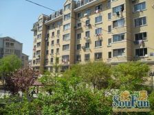 西岗区 景润一期房源 多层洋房 诚心售卖