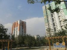 丰台丽泽丰益花园值得购买的明厨明卫大阳台观景两居