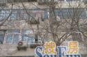 大柳树3号院实景图