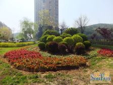 明秀山庄B区一楼带花园带阳光房精装修一楼越2楼