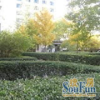 岭南路38号院实景图