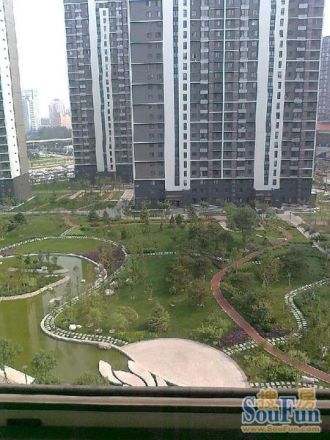 国风上观实景图