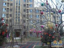 鲁谷·远洋沁山水上品·3室·1厅