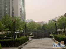 望京朝阳博雅国际1居 飘窗观景 楼下餐饮店 随时看房 落地窗