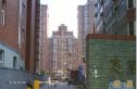 悠胜美地赢家实景图