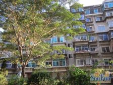 多层 通厅户型 单价低 诚心出售