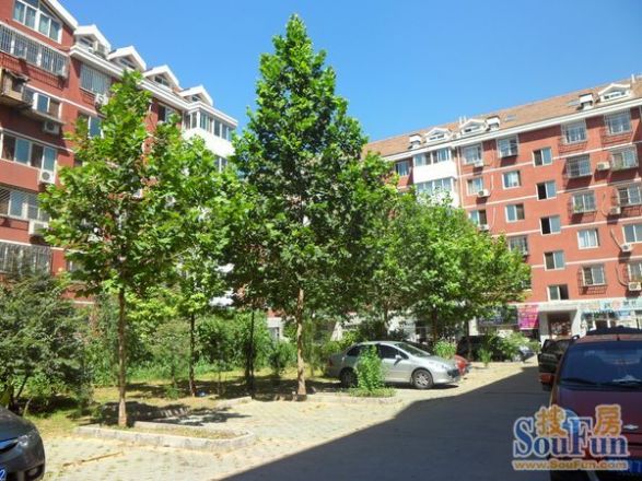 丰卉家园实景图