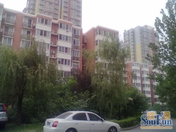 沁春家园实景图