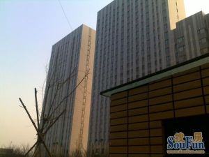 马栏广场益嘉广场精装修无坡近地铁