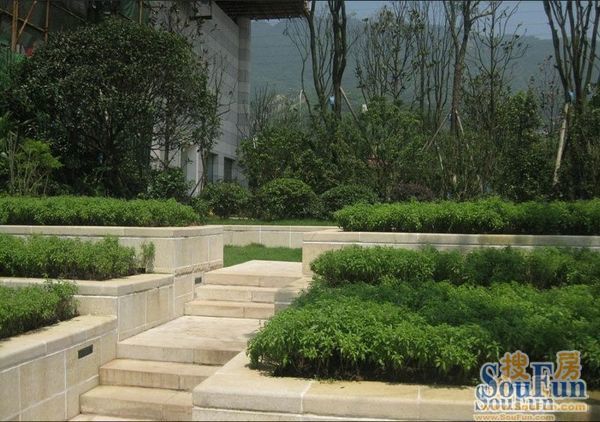 新天泽云山外实景图