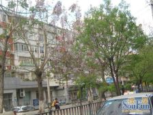 永乐西区1992年,南北大两居,精装修,看房方便诚心出售!