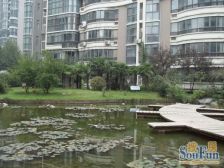 康桥花园双气三房电梯小高层 中间位置采光好 南北通透