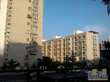 五一广场,丽景春天中间位置,安静不挡光。