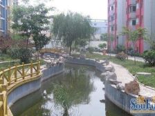 青年居易 1室1厅 南 北