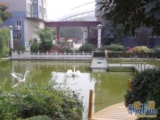 新希望澳园 2室1厅 南 北