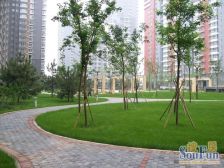 远洋山水 3室1厅 南 北