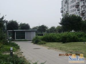 苹果派东北向,满五年唯一,高楼层采光很好,安静舒