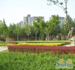 卡布其诺精装两居视野好不临街诚意出售