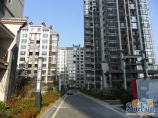 单价低近海不临海,5室空中别墅适合改善