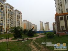 新加坡花园1室1厅南