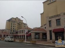 美树日记别墅,纯天然氧吧,位置好