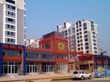 打头房,精装顶加阁,带车位、有车库出售