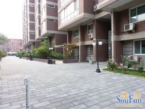 迪阳公寓2室1厅南北