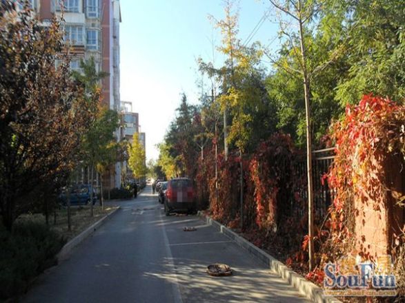 银海星月实景图