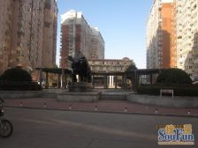 新世界花园 1室1厅 南