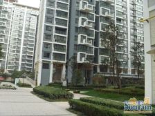 郑州东区 电梯顶楼复式 精装修 人车分离 下层花园设计