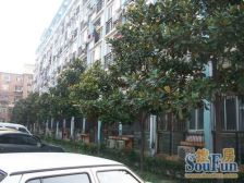 一环内年代新总价低位置好配套完善