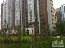 壹品天城 2室1厅 南 北