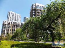 房子楼层好 两室 可利用空间大 拎包入住 看房方便