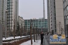 规整一室一厅诚意出售