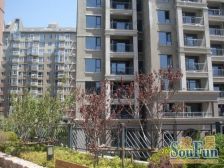 东财家属楼 百花深处2011年交房 精装修南向一室一厅