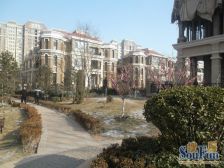 历下区小高层+17.5%公摊+视距300多米+有车位地下室