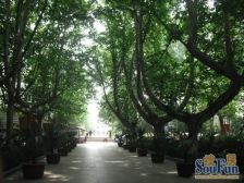 华林都市电梯复式,带100平方露台,有钥匙