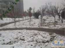 中高楼层三居,价格合适,有钥匙看房方便