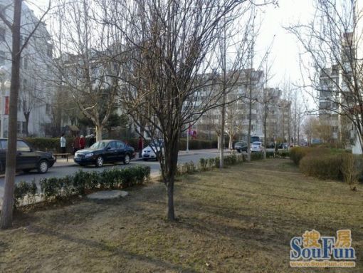  ���⡤���߼ҡ�������԰÷Է��5�ҡ�����B 