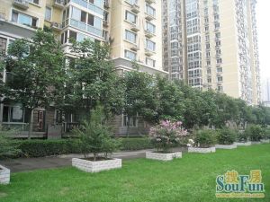 满五唯一双卫小区中间位置安静舒适眼镜户型