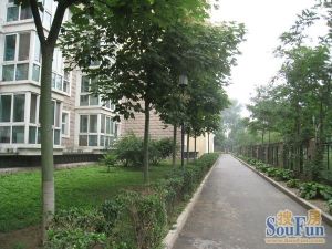 朝阳无限芳菁苑1室1厅北