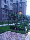 芭蕾雨悦都北区3室1厅南北