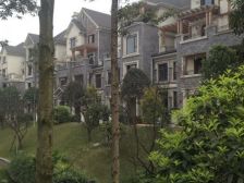 金科馥溪美,临河三联排大端户,装修600万,带电梯