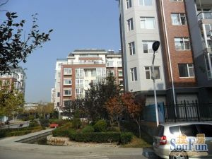 鑫鑫佳园小区拎包入住采光好无遮挡