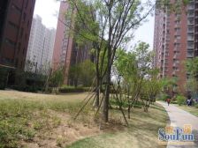 文化路三全路 四号线地铁口 建业精装小户型便宜出售