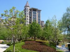 《中高楼层》《三面采光》《主卧带八角窗》