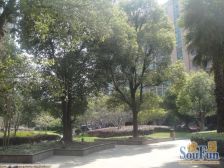 金沙雅苑(三期) 3室2厅 南 北