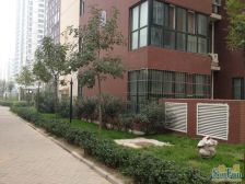 发展南郡 1室1厅 南 北