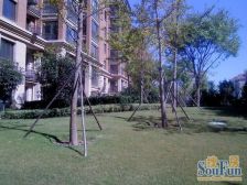 临河观景一二楼复式带70平南北花园,客厅挑空,四居室