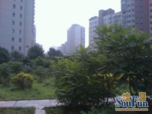 小区相关图